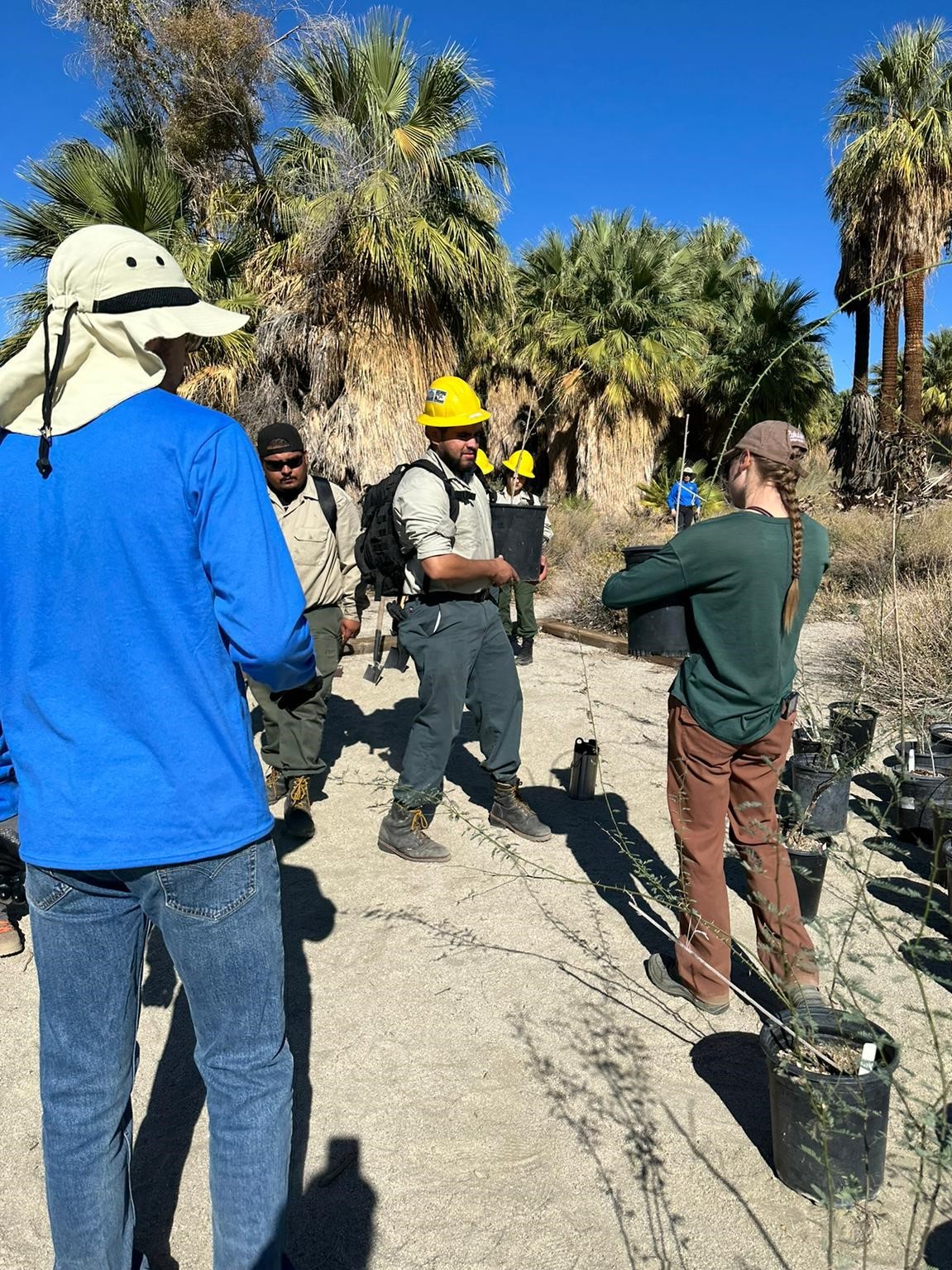 propagation_in_the_coachella_valley_preserve_1